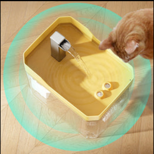 Dispensador de agua para mascotas