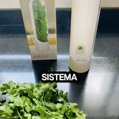 Conservador de alimentos para nevera